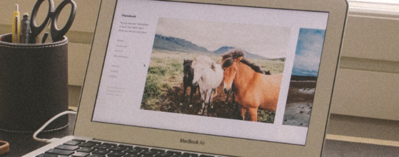 Breaking Down Digital PR!